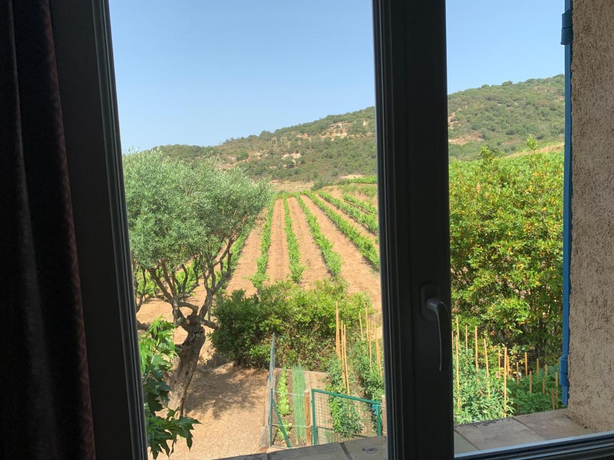 Appartamento Les Oliviers Grimaud Esterno foto