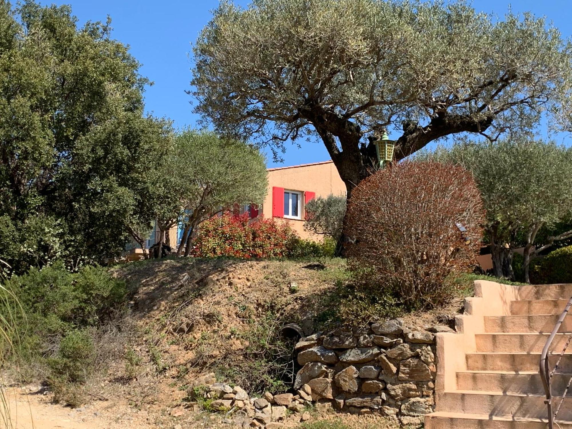 Appartamento Les Oliviers Grimaud Esterno foto