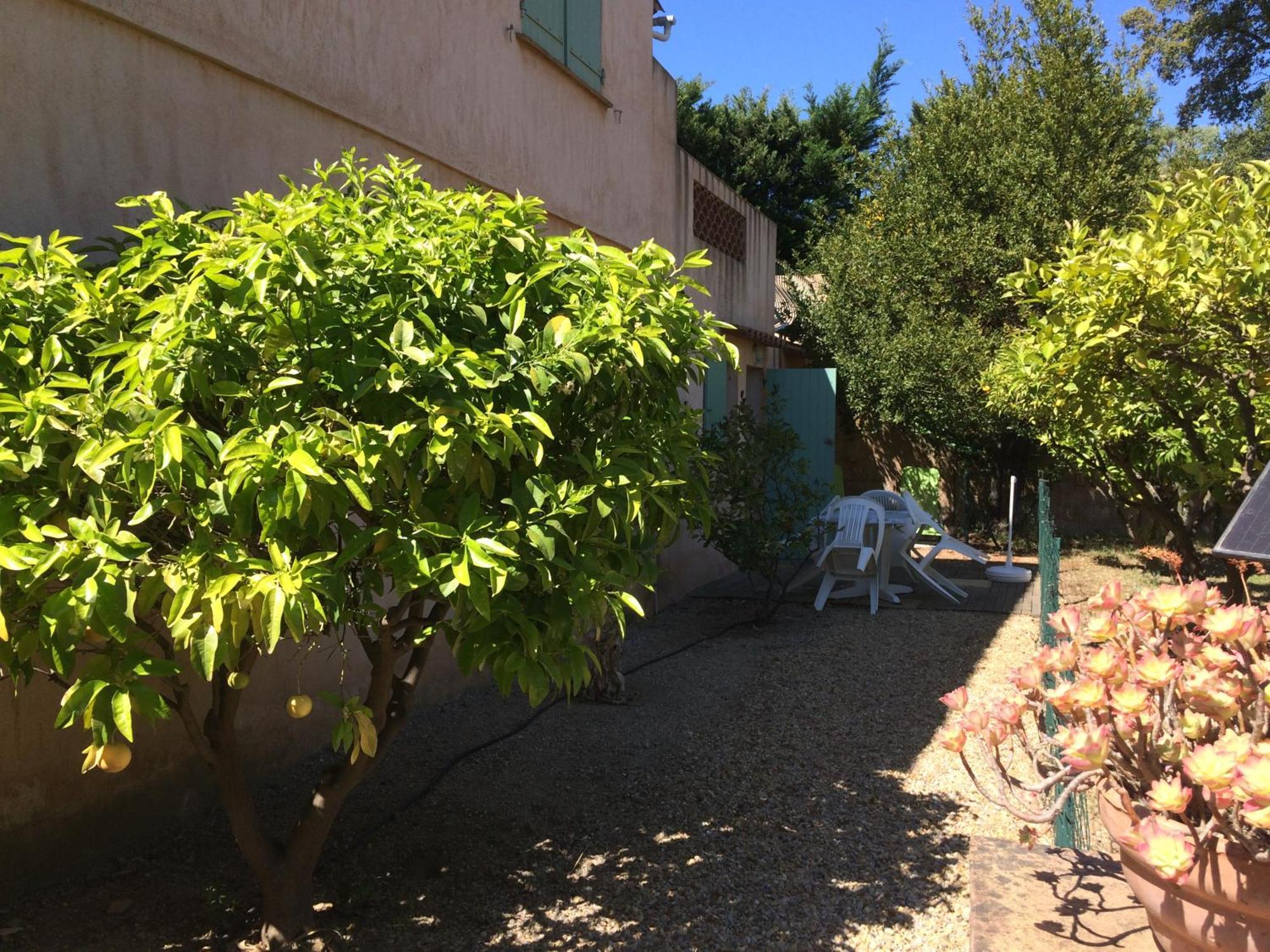 Appartamento Les Oliviers Grimaud Camera foto