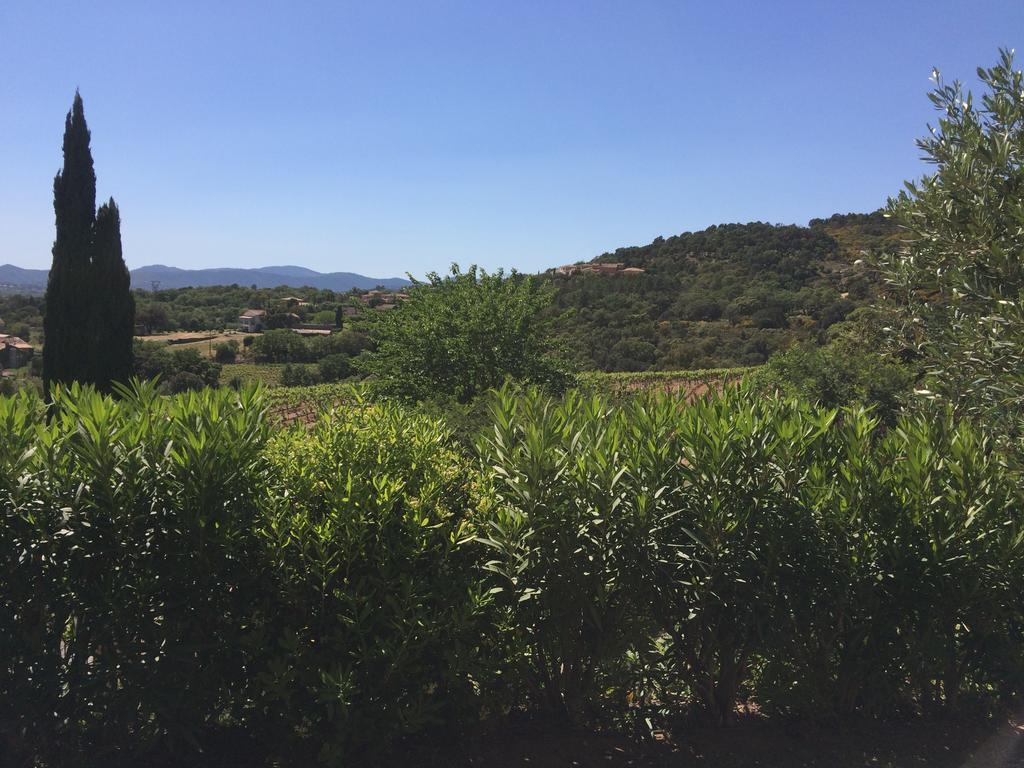 Appartamento Les Oliviers Grimaud Esterno foto